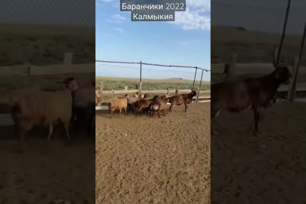Кракен даркнет зайти