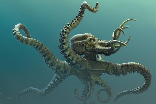 Kraken гидра