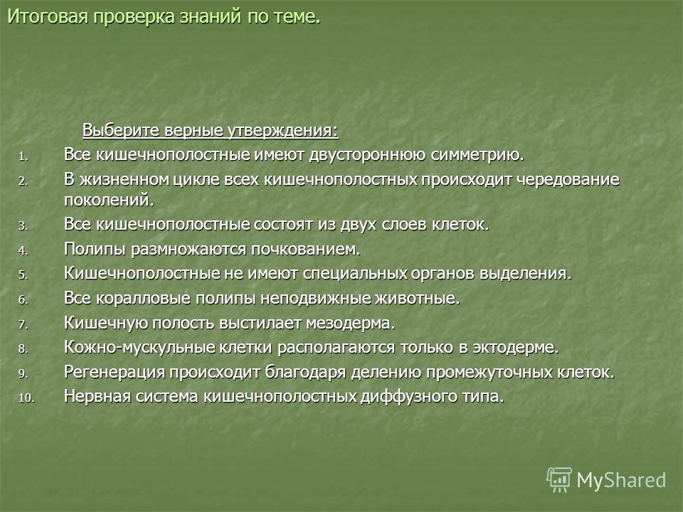 Кракен телегрф